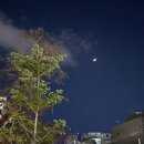 3교대 야간근무 건강 문제와 장단점, 나이트 전담 간호사 솔직 후기