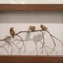 참새 다락방 이미지