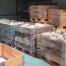 주미 농장 이미지