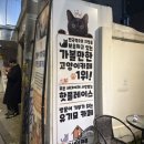 집사의하루 연남점 이미지