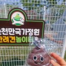 자미애견 이미지