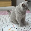대교빌딩 | 대전 대교빌딩 HSK 2급 지필시험 후기! 아오 나 한 개 틀린 거 같앵 ㅡ_ㅡ