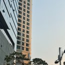 대리님들의 팀장 승진 축하 파티, 레터링 케이크 맞춤제작 영앤스윗, 전화예약 용산은행나무포차 방문]