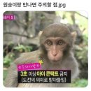Ep.16 공기 안 좋은 봄 vs 고온다습 여름