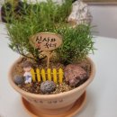 금과보건지소 이미지