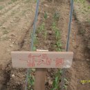 김재형농장 이미지