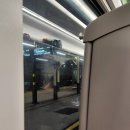 척척석사 in the UK - Week 24(Consolidation Week &amp; 런던에서 생긴 일)
