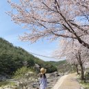과학마을로(중로1-259) | 거창에서 한 달 살기 중입니다. PART2