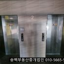 송백미용실 이미지