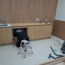 봉곡동146 이미지