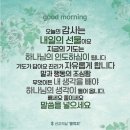 콩깍지 이미지