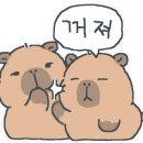 비니미니