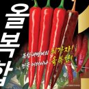 (주)고추와 육종