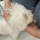 돈워리 여행영어 (1) | [홍대] 셀프사진관/내돈내산_돈워리비해피(기념일 이벤트 추천)