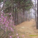 태조산 공원 이미지