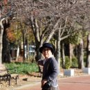 신전앵간다숲