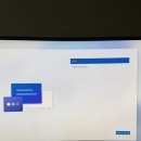 11-C | 윈도우 11 완전 포맷 후기, C드라이브 100GB 되찾은 리얼 경험담