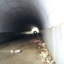 서삼농장 이미지