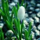 행복 빛으로부터 이미지