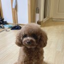 반자주 장산점 이미지