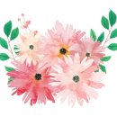 젤미수입
