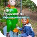 중문1-2소교량 | 제주 중문 가볼만한곳 서귀포 여행 코스