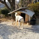 김명주 농장 이미지