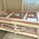 토리아이풀빌라키즈 이미지