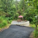 더숲캠핑장 이미지