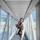 돈돈가든 | 세모녀 가을여행🤎 [바이엔 가든 리조트,스시사카바 사시스,야키니쿠돈돈 하카타,이치란라멘,누이스...