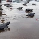 (주)거북 이미지