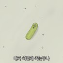 아마엔보