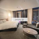 스타즈호텔울산 | 스타즈호텔 울산 -- 울산 가성비 숙소 주니어스위트 후기 (주차. 체크인)