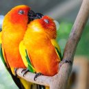 2017년7월24일(월요일)의 주요 뉴스 &amp; [Top News]*매일 90억원씩 쓸어담는 `리니지M`, 매출이 이 추세라면… 이미지