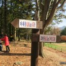 새재마루 이미지