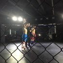 [인천 계양구][Kris Kim BJJ] MMA , 주짓수 , 크로스핏 ,다이어트 전문 체육관 플로우짐입니다. 이미지