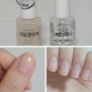 다이소 손톱영양제 유어네일 강화제와 비교후기