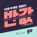 코지마강원총판 이미지