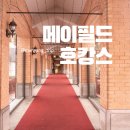 메이필드호텔 조식, 수영장, 헬스 후기 : 겨울호캉스 1박 20만원