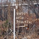 한강수변공원 Daum카페