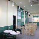 버블독스 이미지