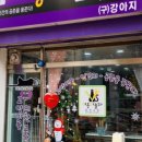 야옹아 놀자 이미지