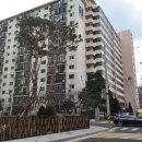 사임당로 137 이미지
