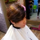 헤어도도(DODO) 이미지