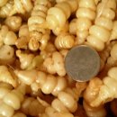 주식회사 약초마을 이미지