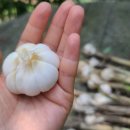 수화농장 이미지