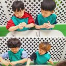 풍림월드유치원 이미지