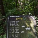 봉화산 솔바람길 이미지