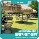 고창가볼만한곳 이국적인 분위기 대형카페추천 고창읍 들꽃카페수목원