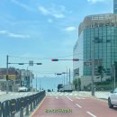 해운대주막 앞 | 식사] 부산 해운대구, &#34;극동돼지국밥&#34; 방문후기. 맑디 맑은 부산식 돼지국밥! 해운대돼지국밥 맛집으로...
